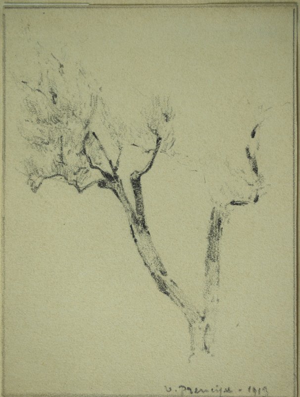 1913 - Albero